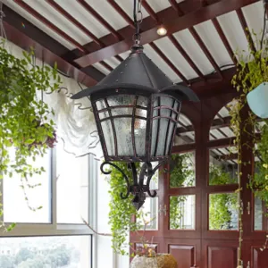 Frosted Glass Birdcage Pendant Light - Rustic Outdoor Ceiling Fixture in Coffee