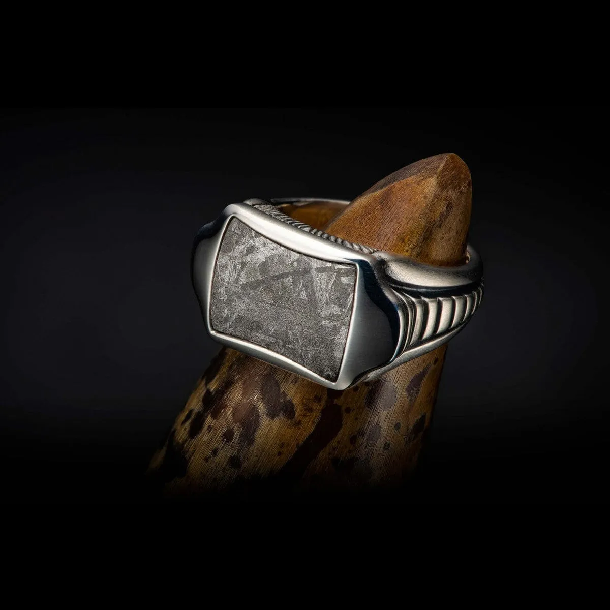 Men's Sleek Meteorite Ring - Ring 8 MET