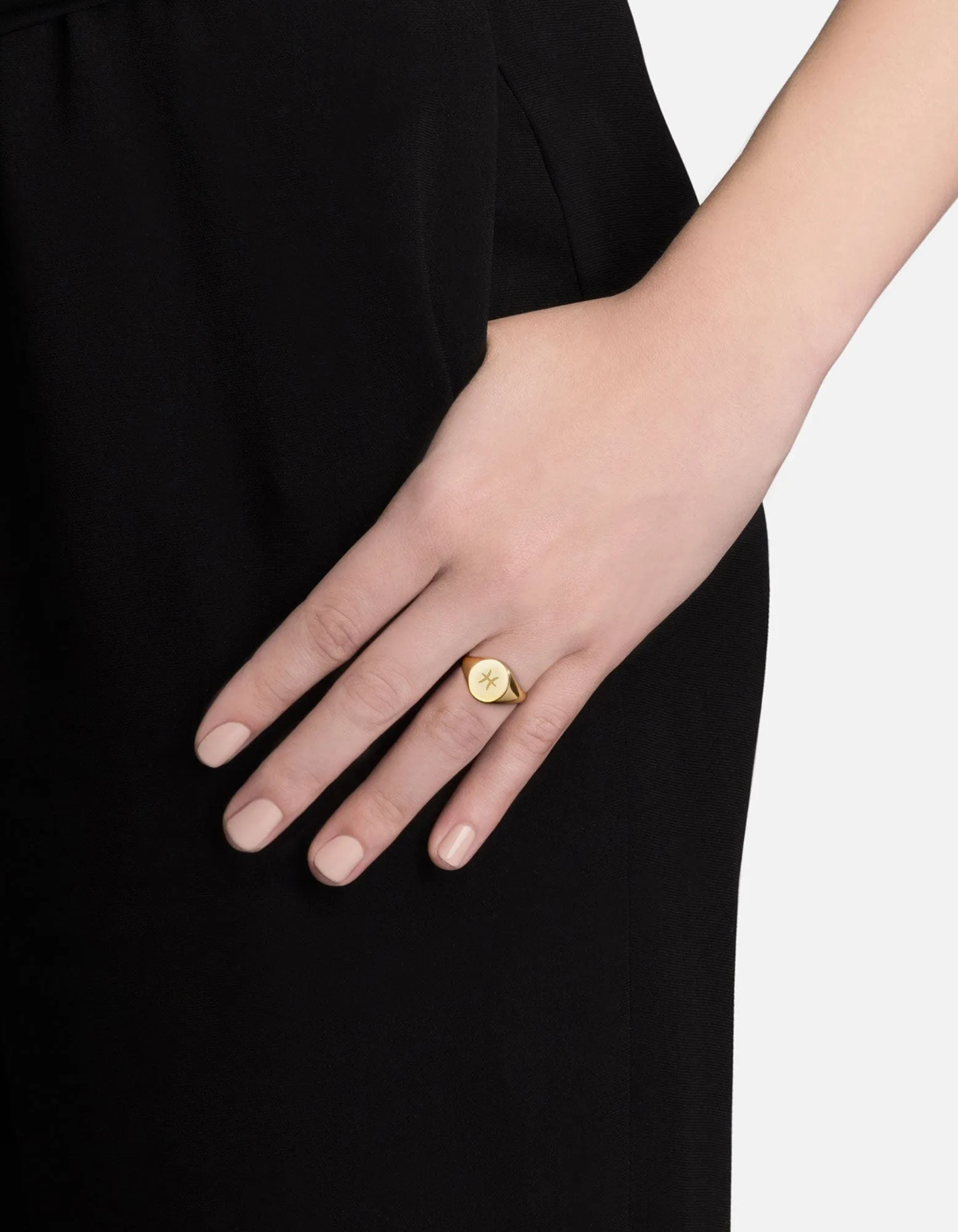 Pisces Astro Signet Ring, 14k Gold