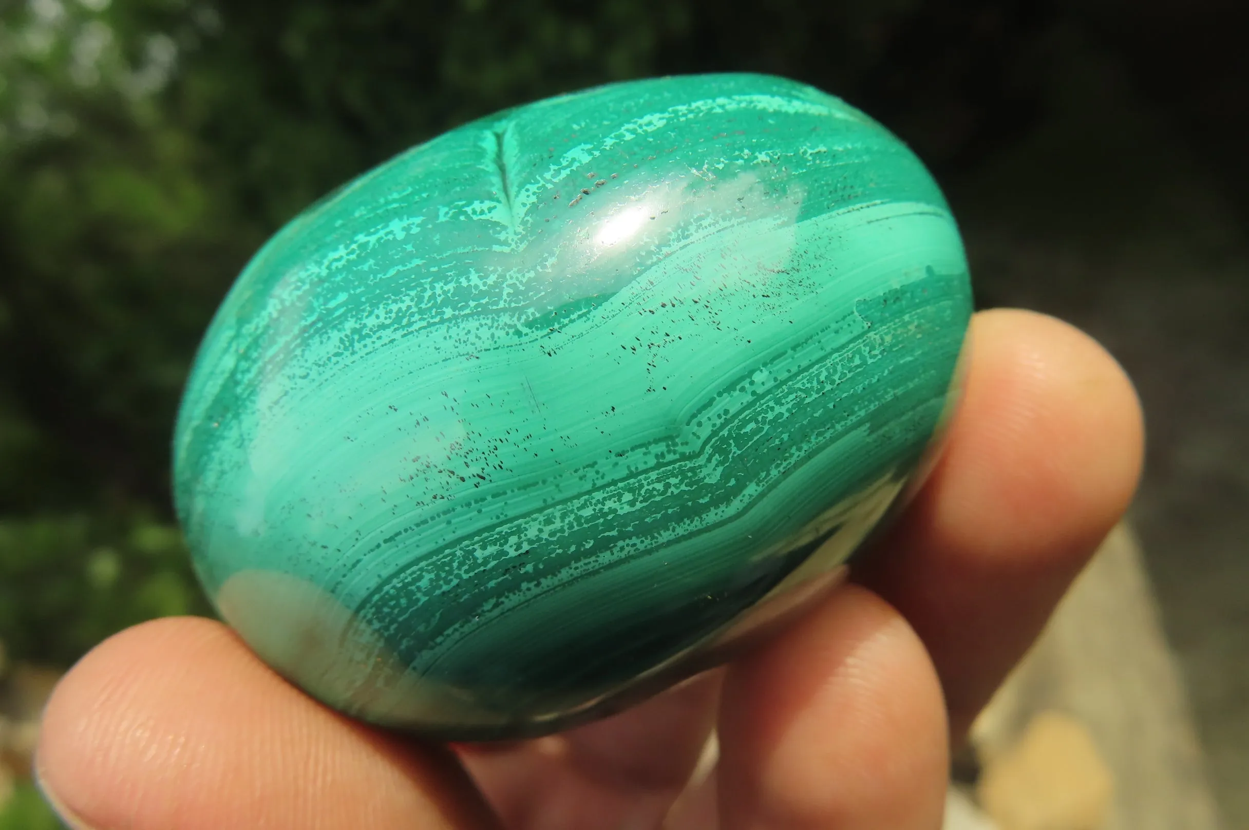 Polished Flower Banded Malachite Gemstone Eggs x 6 From Congo