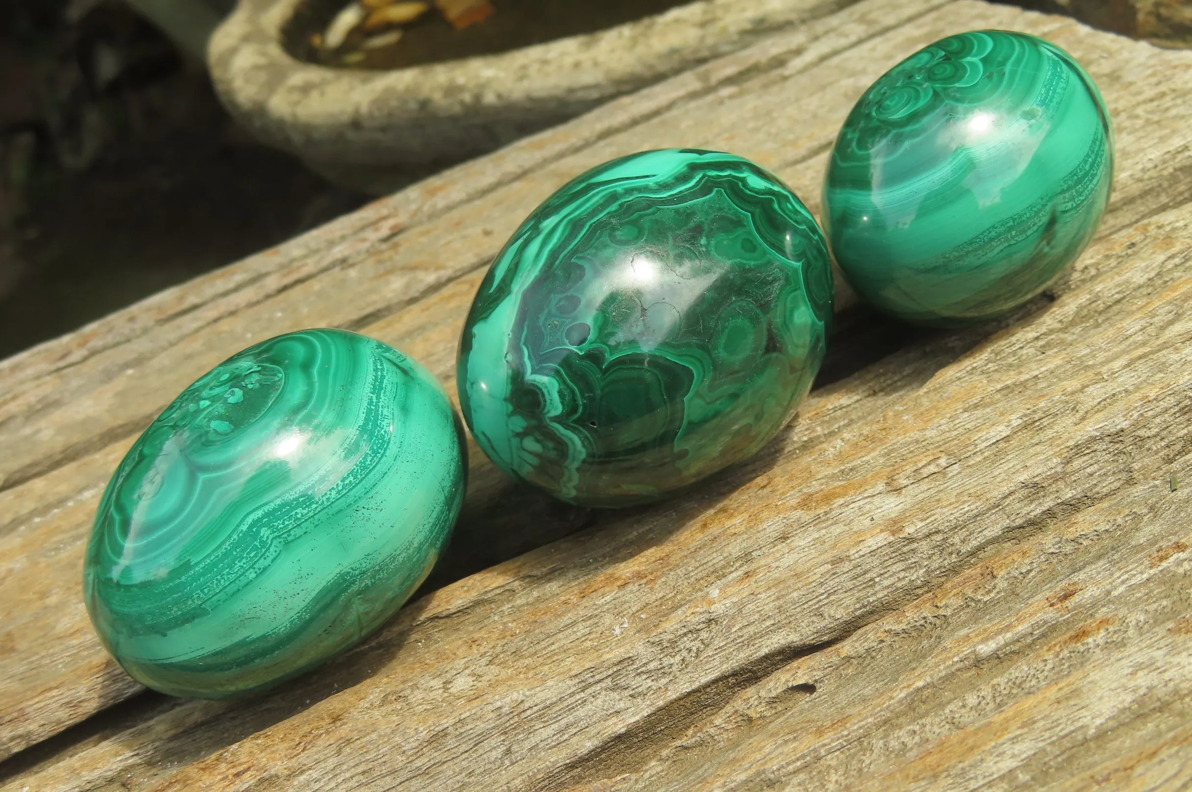 Polished Flower Banded Malachite Gemstone Eggs x 6 From Congo