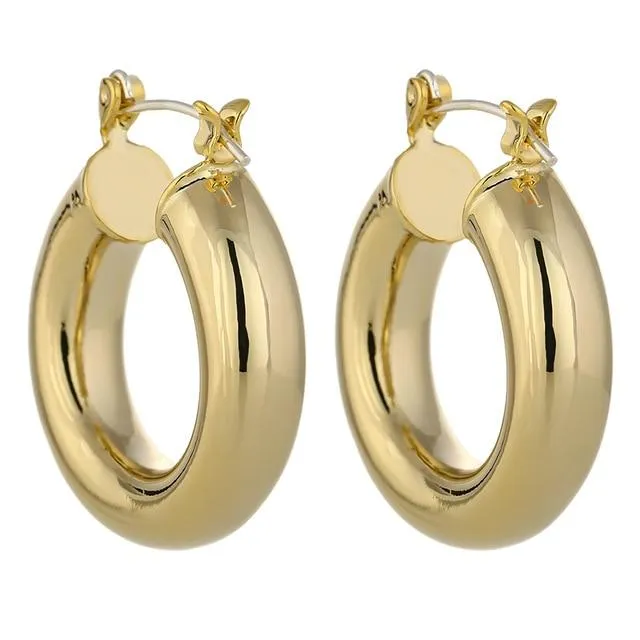 Trendy Hoop Earrings Charm Earrings For Women